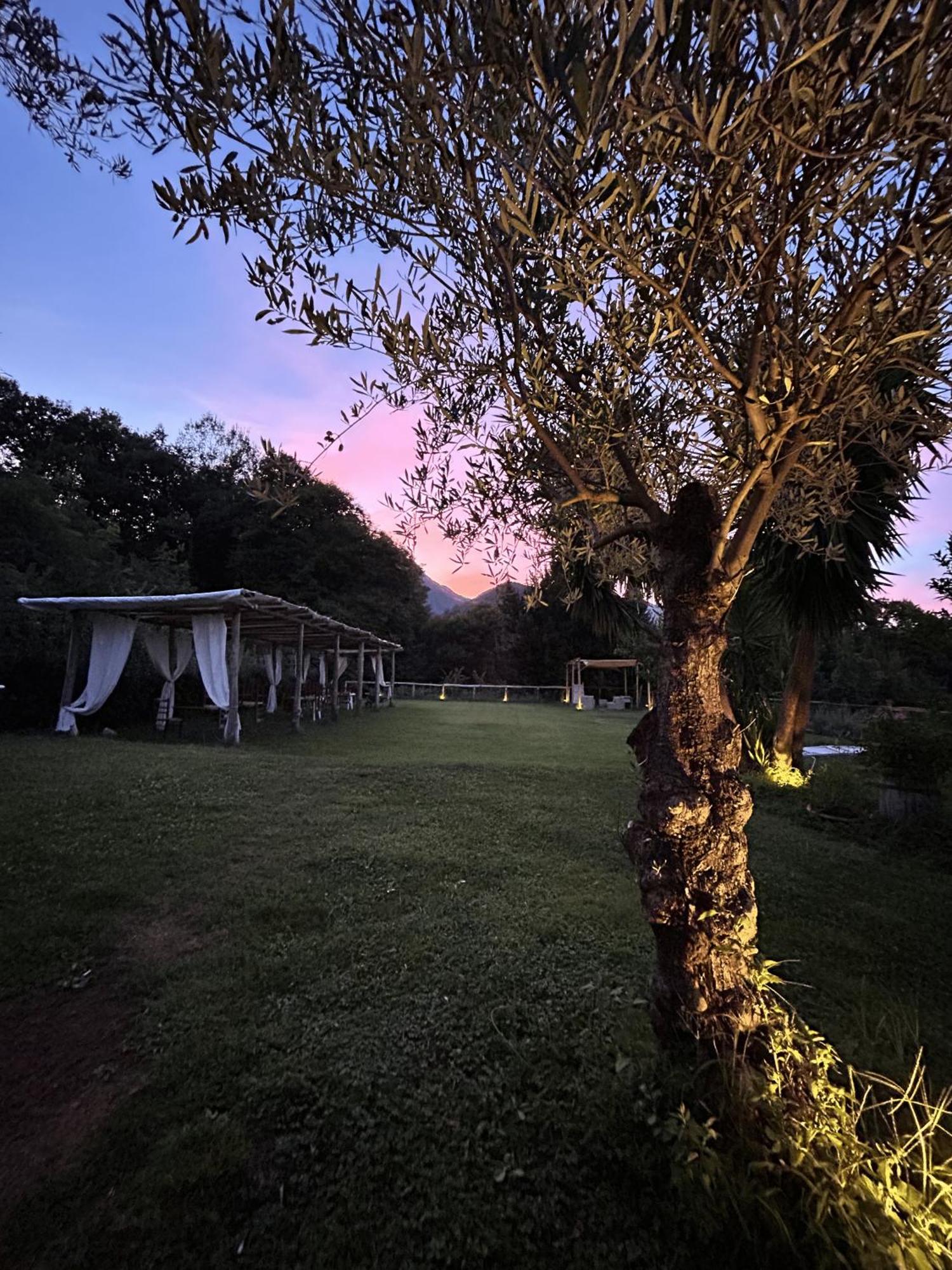 Agriturismo Colle Maiano Vietri Bagian luar foto